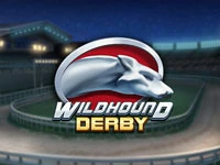 เกมสล็อต Wildhound Derby